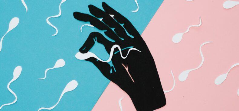 Testosterone, TRT, and Male Fertility: What Happens to Sperm When You Stop Testosterone?