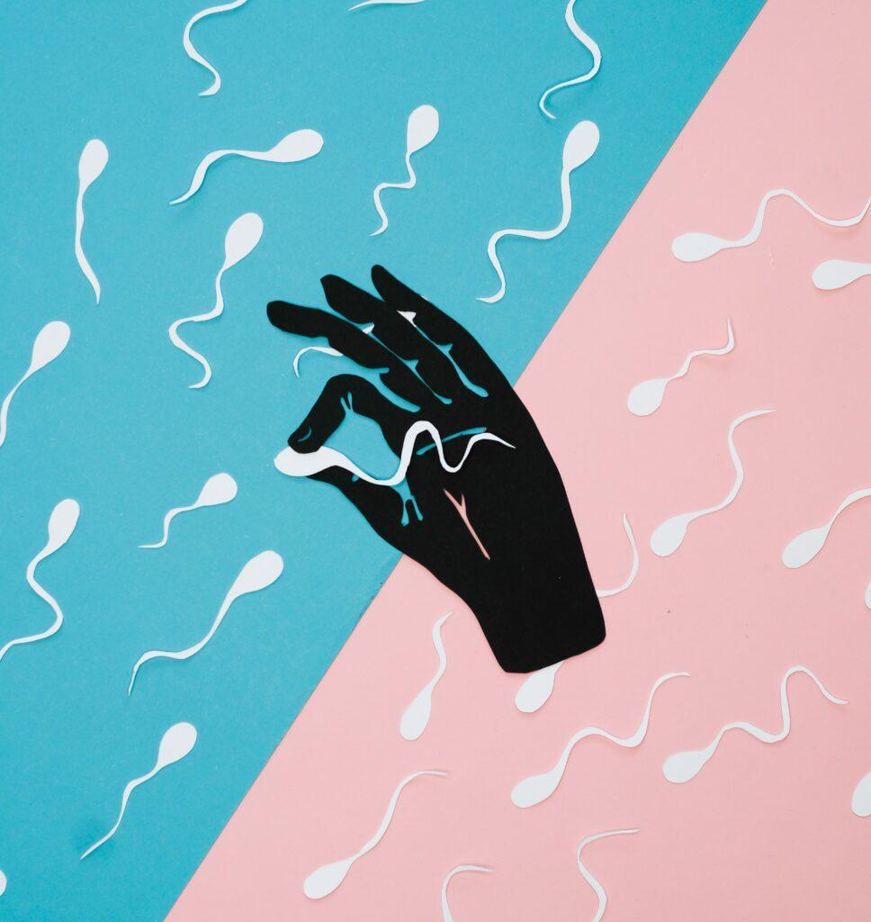Testosterone, TRT, and Male Fertility: What Happens to Sperm When You Stop Testosterone?